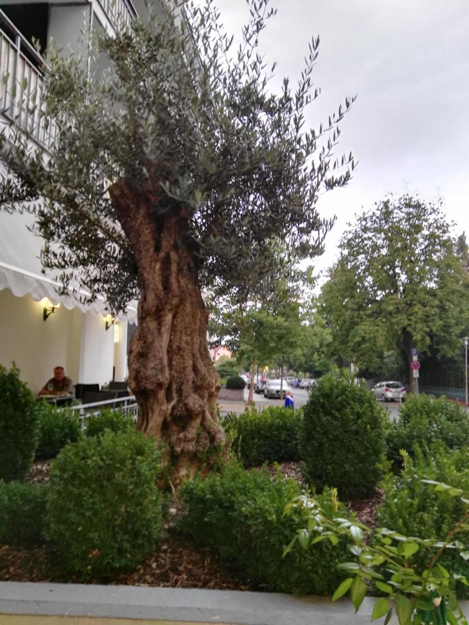 Hotel Carolinenhof Bad Pyrmont Kültér fotó
